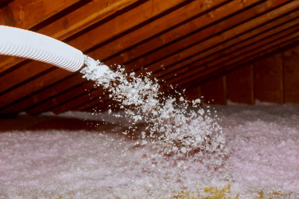 Best Insulation Maintenance and Repair in Lakeland, MN